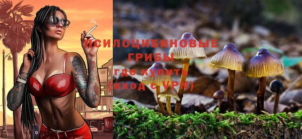 скорость Горно-Алтайск