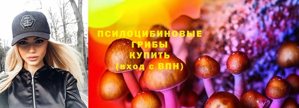 марки nbome Горнозаводск