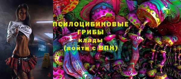 скорость Горно-Алтайск