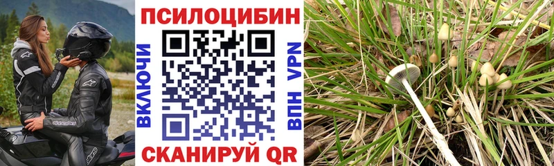 Галлюциногенные грибы GOLDEN TEACHER  Новая Усмань 